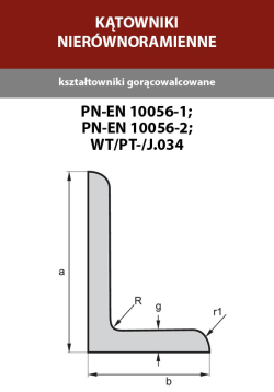obraz_2024-05-10_211750558